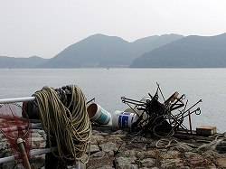20061012okishima (19).jpg